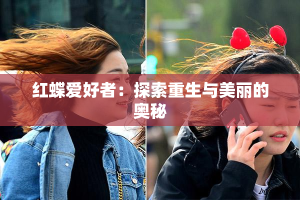 红蝶爱好者：探索重生与美丽的奥秘