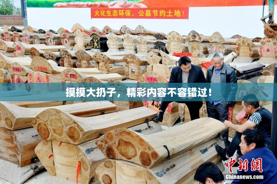 摸摸大扔子，精彩内容不容错过！
