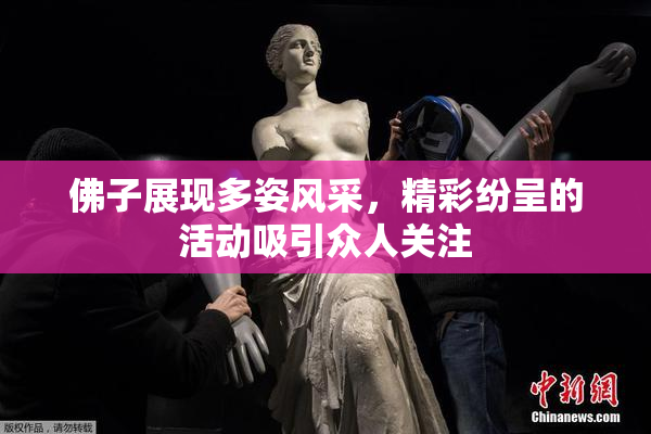 佛子展现多姿风采，精彩纷呈的活动吸引众人关注