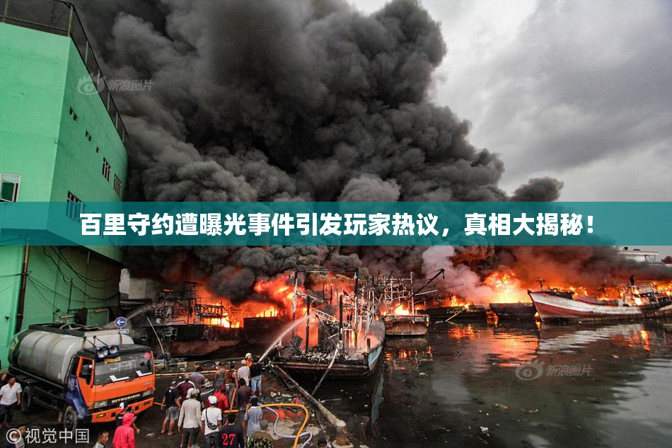 百里守约遭曝光事件引发玩家热议，真相大揭秘！
