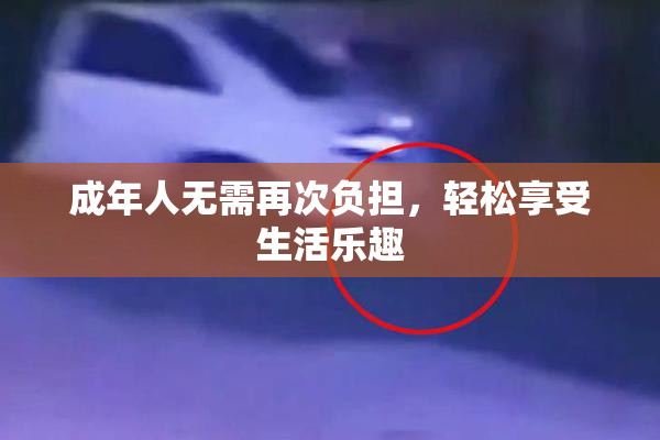 成年人无需再次负担，轻松享受生活乐趣