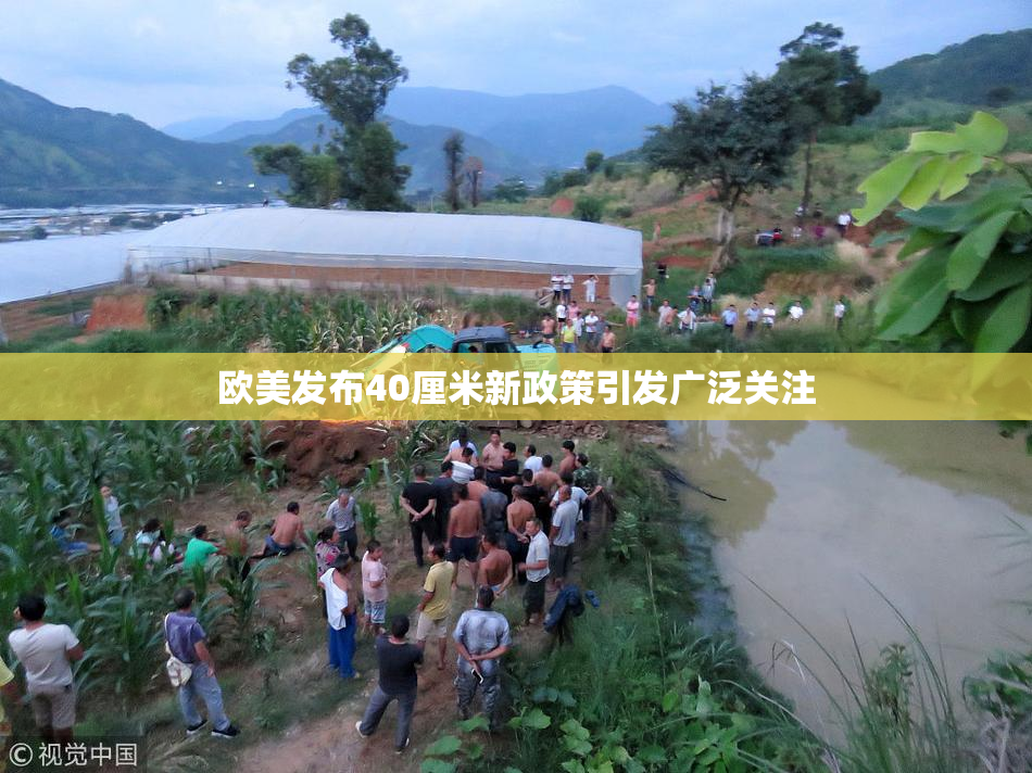 欧美发布40厘米新政策引发广泛关注