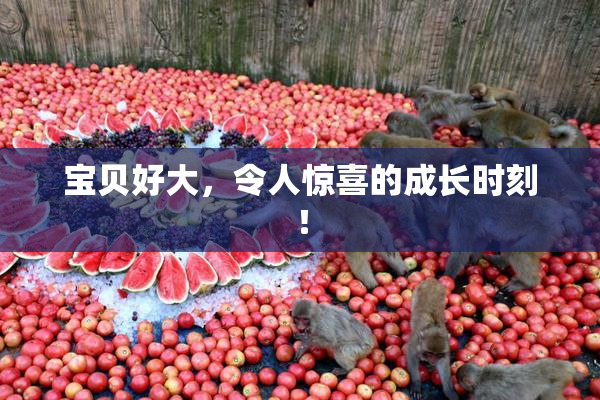 宝贝好大，令人惊喜的成长时刻！