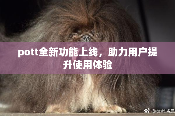 pott全新功能上线，助力用户提升使用体验