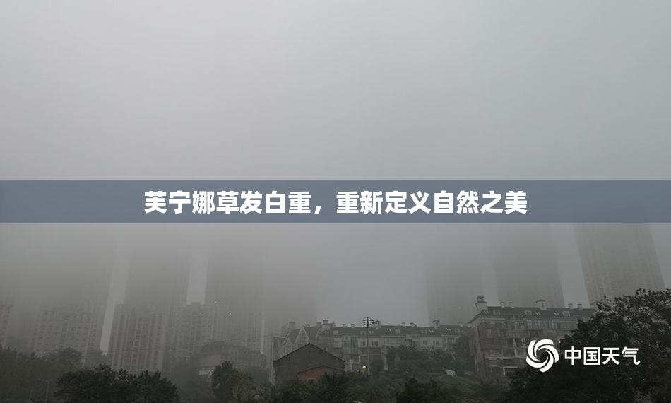 芙宁娜草发白重，重新定义自然之美