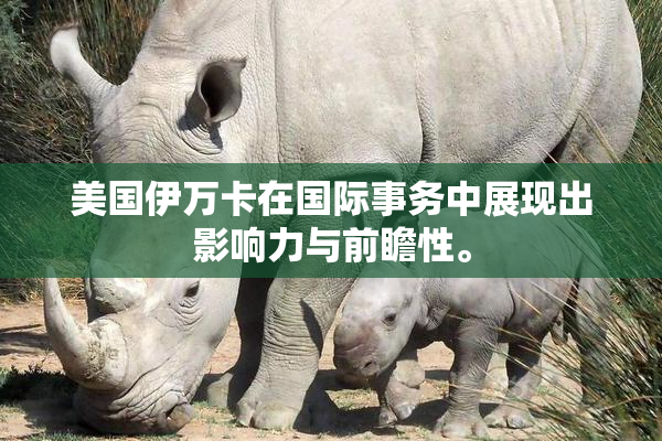 美国伊万卡在国际事务中展现出影响力与前瞻性。