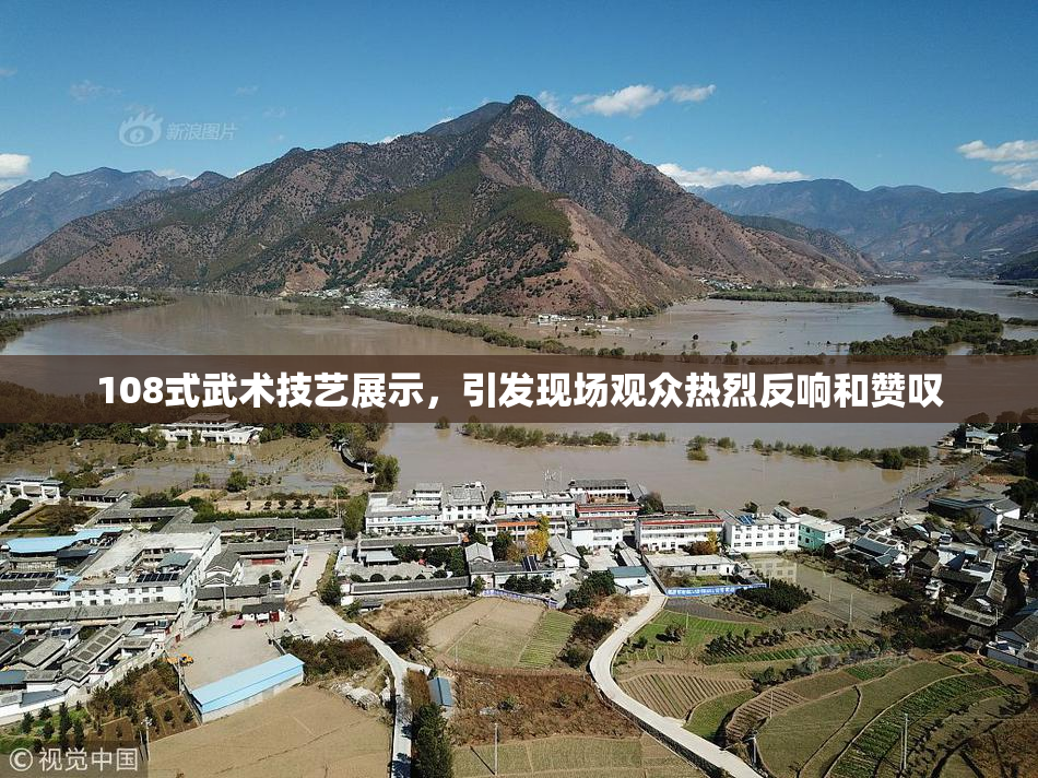 108式武术技艺展示，引发现场观众热烈反响和赞叹