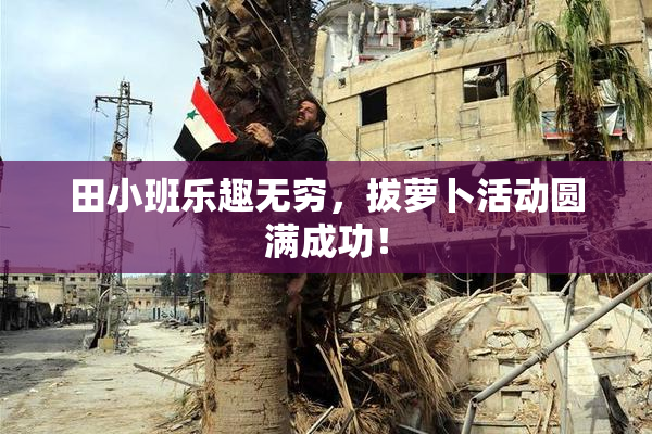 田小班乐趣无穷，拔萝卜活动圆满成功！