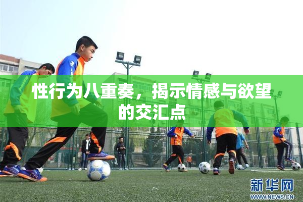 性行为八重奏，揭示情感与欲望的交汇点