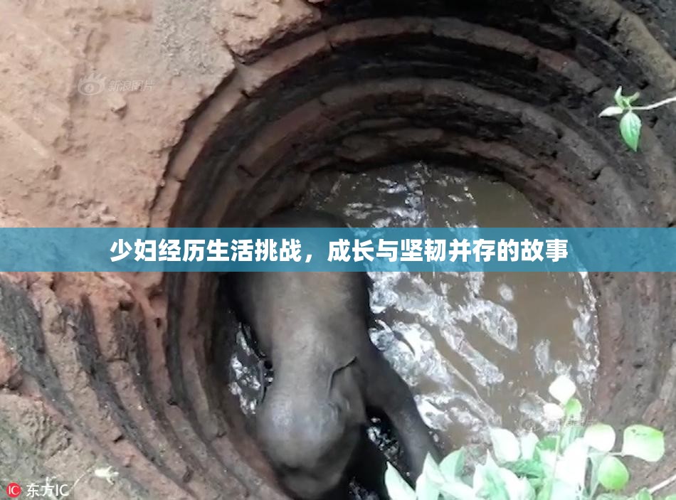 少妇经历生活挑战，成长与坚韧并存的故事