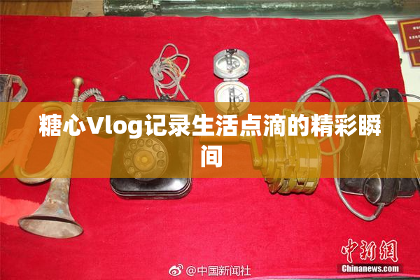 糖心Vlog记录生活点滴的精彩瞬间