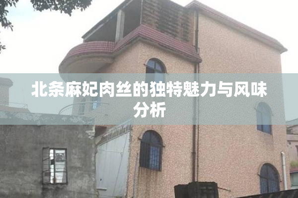 北条麻妃肉丝的独特魅力与风味分析