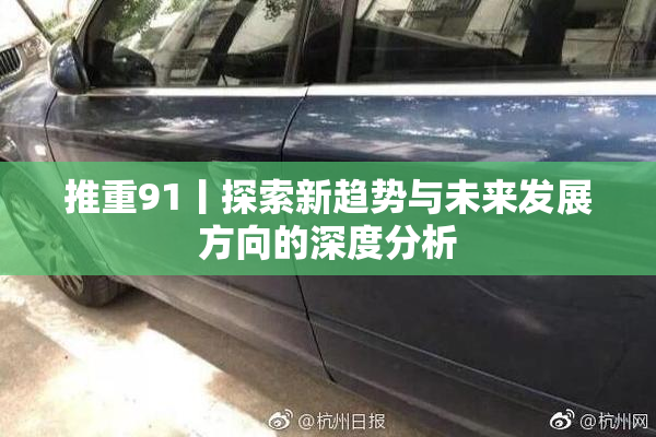 推重91丨探索新趋势与未来发展方向的深度分析