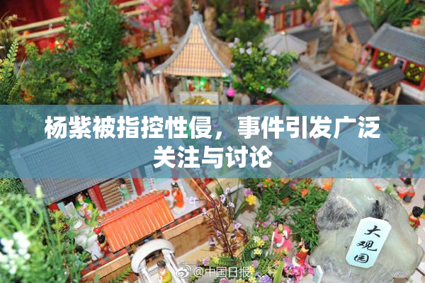 杨紫被指控性侵，事件引发广泛关注与讨论