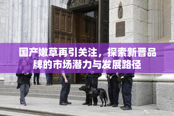 国产嫩草再引关注，探索新晋品牌的市场潜力与发展路径