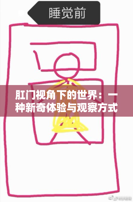 肛门视角下的世界：一种新奇体验与观察方式