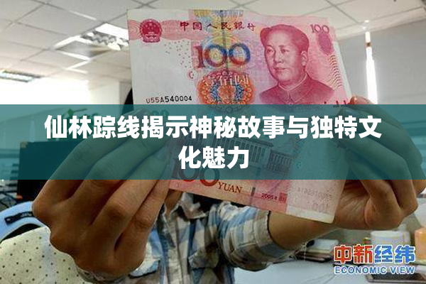 仙林踪线揭示神秘故事与独特文化魅力