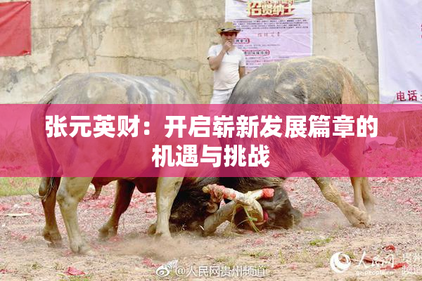 张元英财：开启崭新发展篇章的机遇与挑战