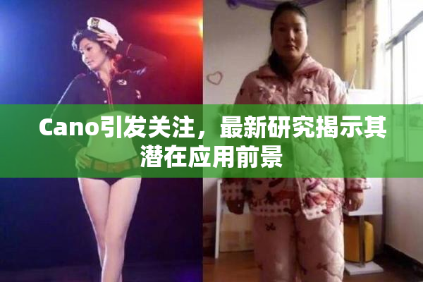 Cano引发关注，最新研究揭示其潜在应用前景