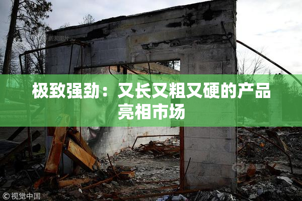 极致强劲：又长又粗又硬的产品亮相市场