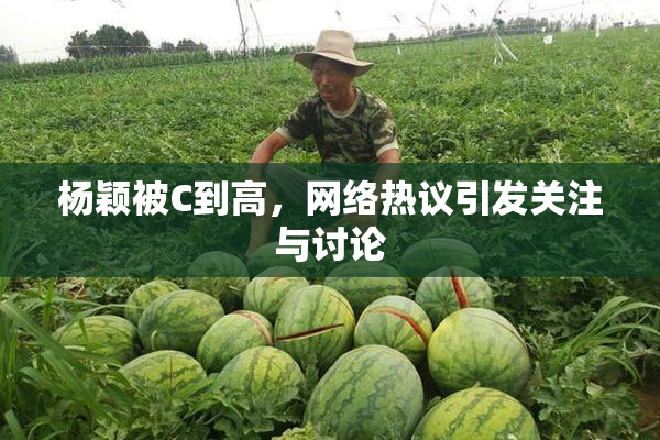 杨颖被C到高，网络热议引发关注与讨论