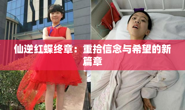 仙逆红蝶终章：重拾信念与希望的新篇章