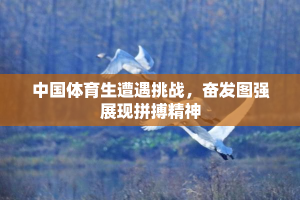 中国体育生遭遇挑战，奋发图强展现拼搏精神