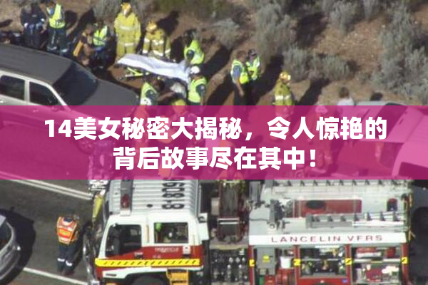 14美女秘密大揭秘，令人惊艳的背后故事尽在其中！