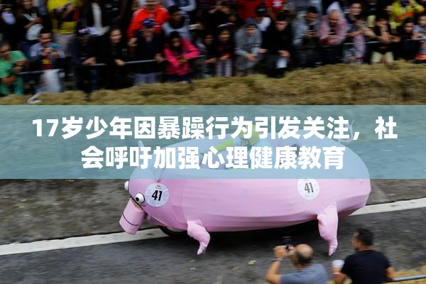 17岁少年因暴躁行为引发关注，社会呼吁加强心理健康教育
