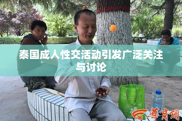 泰国成人性交活动引发广泛关注与讨论