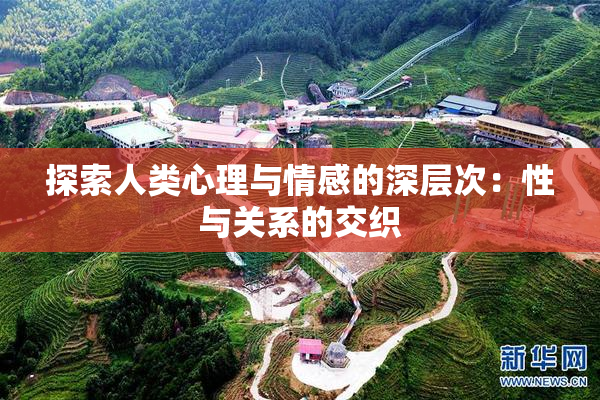 探索人类心理与情感的深层次：性与关系的交织