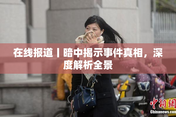 在线报道丨暗中揭示事件真相，深度解析全景