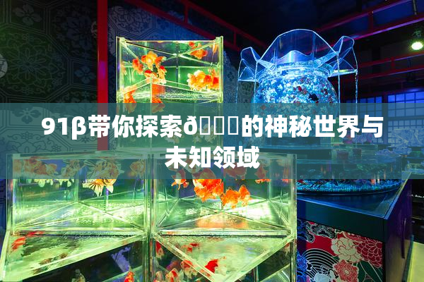 91β带你探索🔞的神秘世界与未知领域