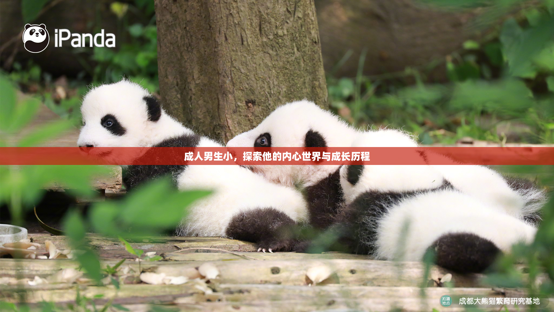成人男生小，探索他的内心世界与成长历程