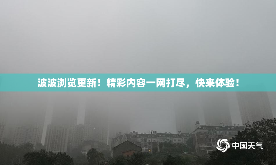 波波浏览更新！精彩内容一网打尽，快来体验！