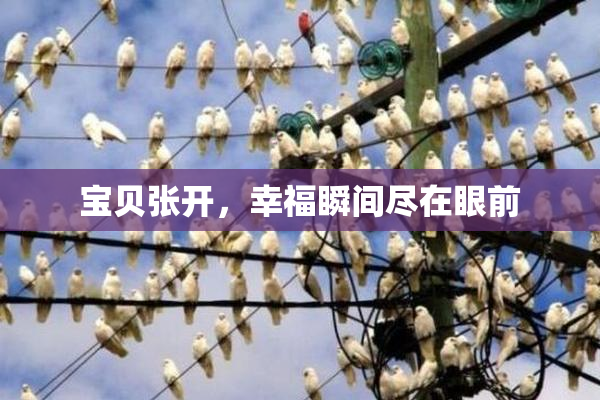 宝贝张开，幸福瞬间尽在眼前