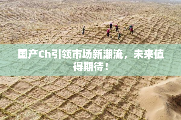 国产Ch引领市场新潮流，未来值得期待！
