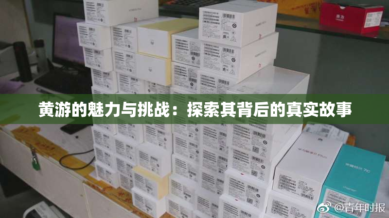 黄游的魅力与挑战：探索其背后的真实故事