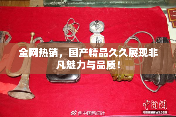 全网热销，国产精品久久展现非凡魅力与品质！