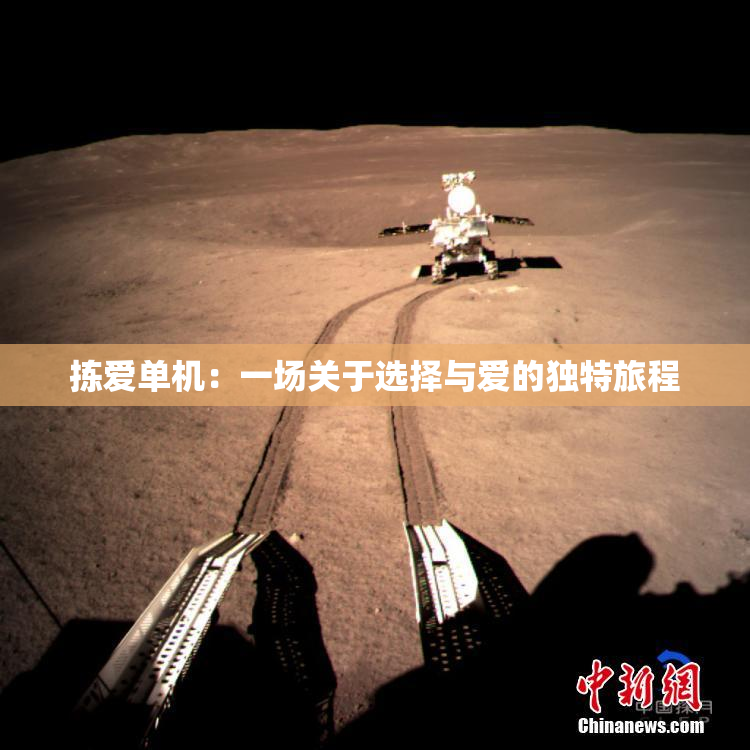 拣爱单机：一场关于选择与爱的独特旅程