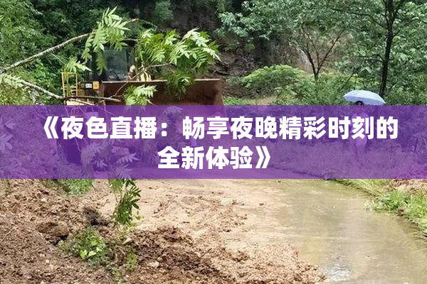 《夜色直播：畅享夜晚精彩时刻的全新体验》