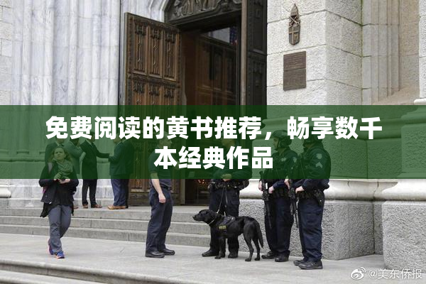 免费阅读的黄书推荐，畅享数千本经典作品