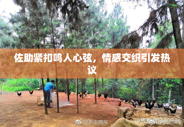佐助紧扣鸣人心弦，情感交织引发热议