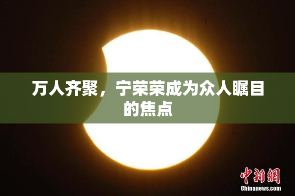 万人齐聚，宁荣荣成为众人瞩目的焦点