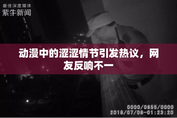 动漫中的涩涩情节引发热议，网友反响不一