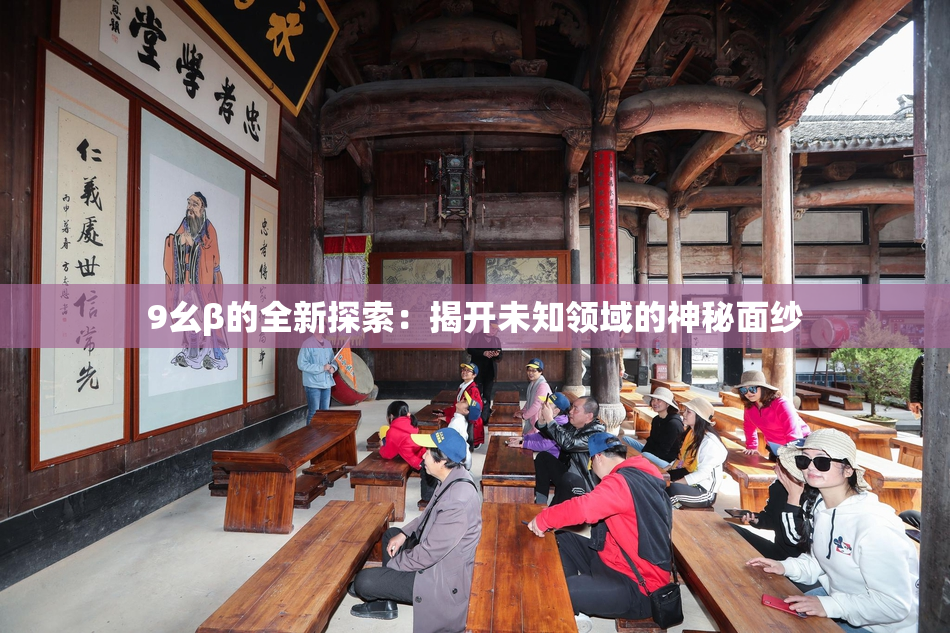 9幺β的全新探索：揭开未知领域的神秘面纱