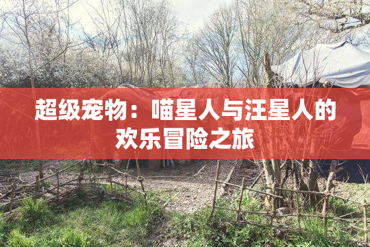超级宠物：喵星人与汪星人的欢乐冒险之旅