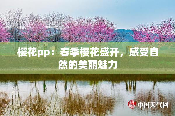 樱花pp：春季樱花盛开，感受自然的美丽魅力
