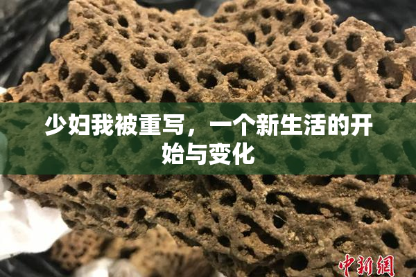 少妇我被重写，一个新生活的开始与变化