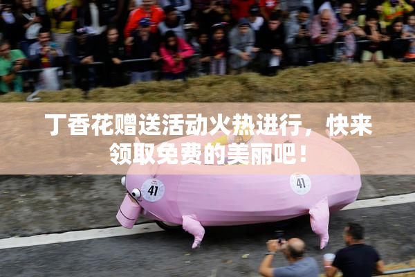 丁香花赠送活动火热进行，快来领取免费的美丽吧！